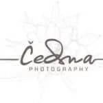 cedna-photography-logo-calgary-web-development