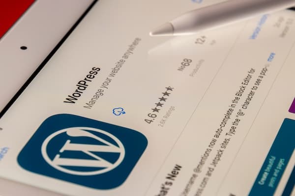 squarespace-vs-wordpress-wordpress-screenshot-clio-websites