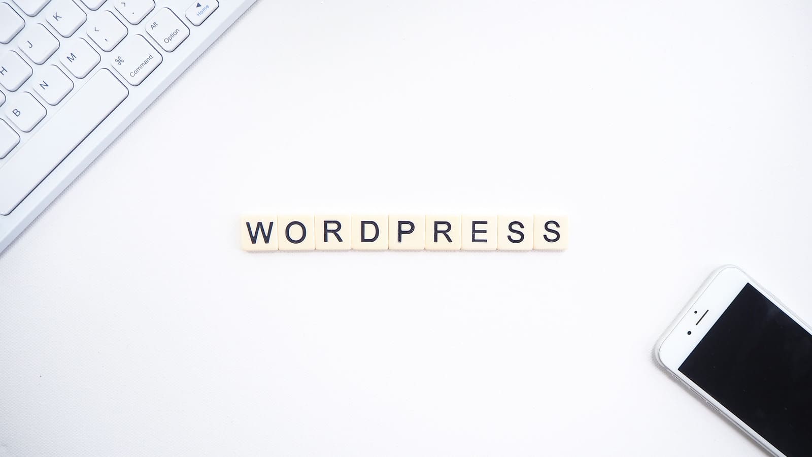 importance-of-checking-your-version-of-wordpress-clio-websites