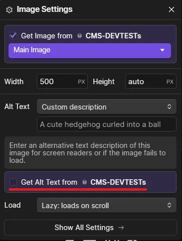 Finding the dynamic alt text checkbox in the Image settings