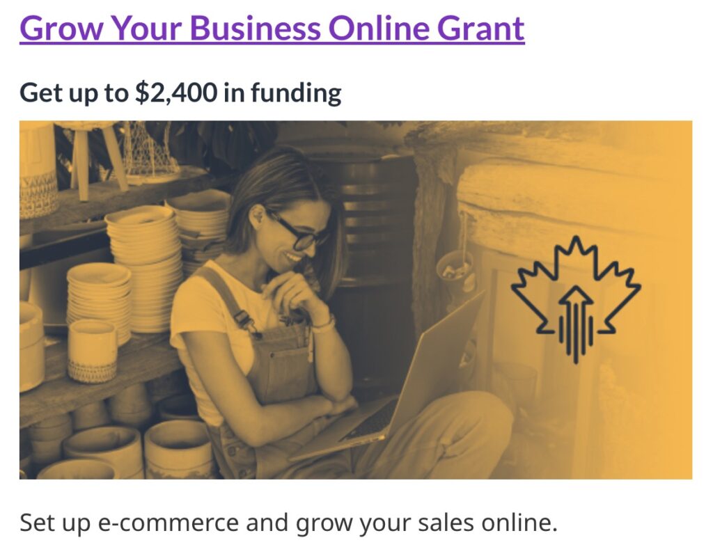 grow-your-business-online-grant-screenshot-clio-websites