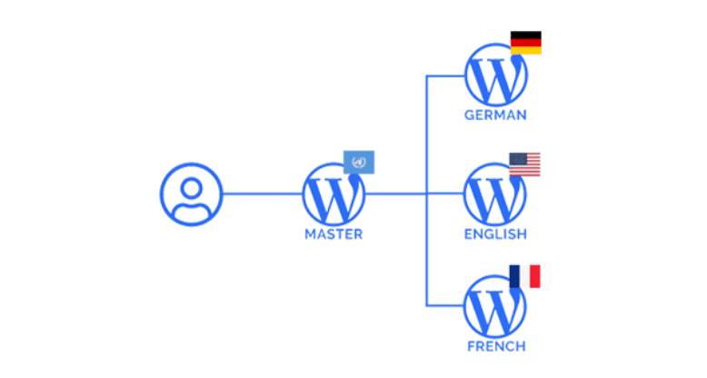 01 multilingual websites what is a multi lingual wordpress website